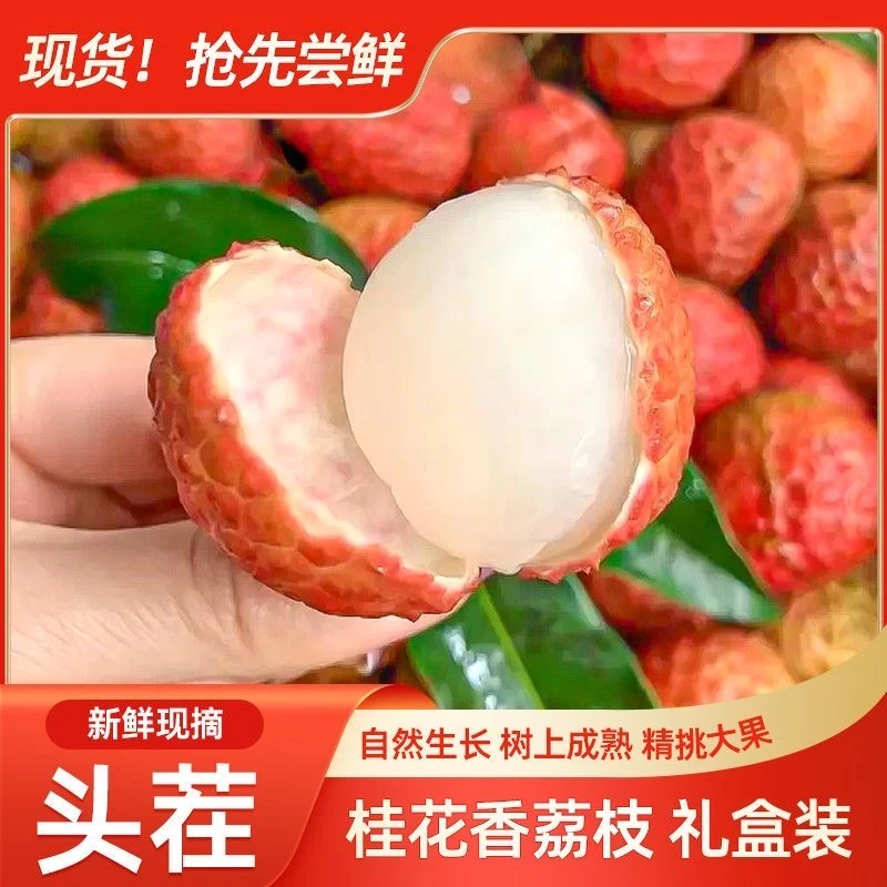 【头茬新鲜荔枝】海南桂花香荔枝30年老树现摘果肉多汁顺丰京东空运