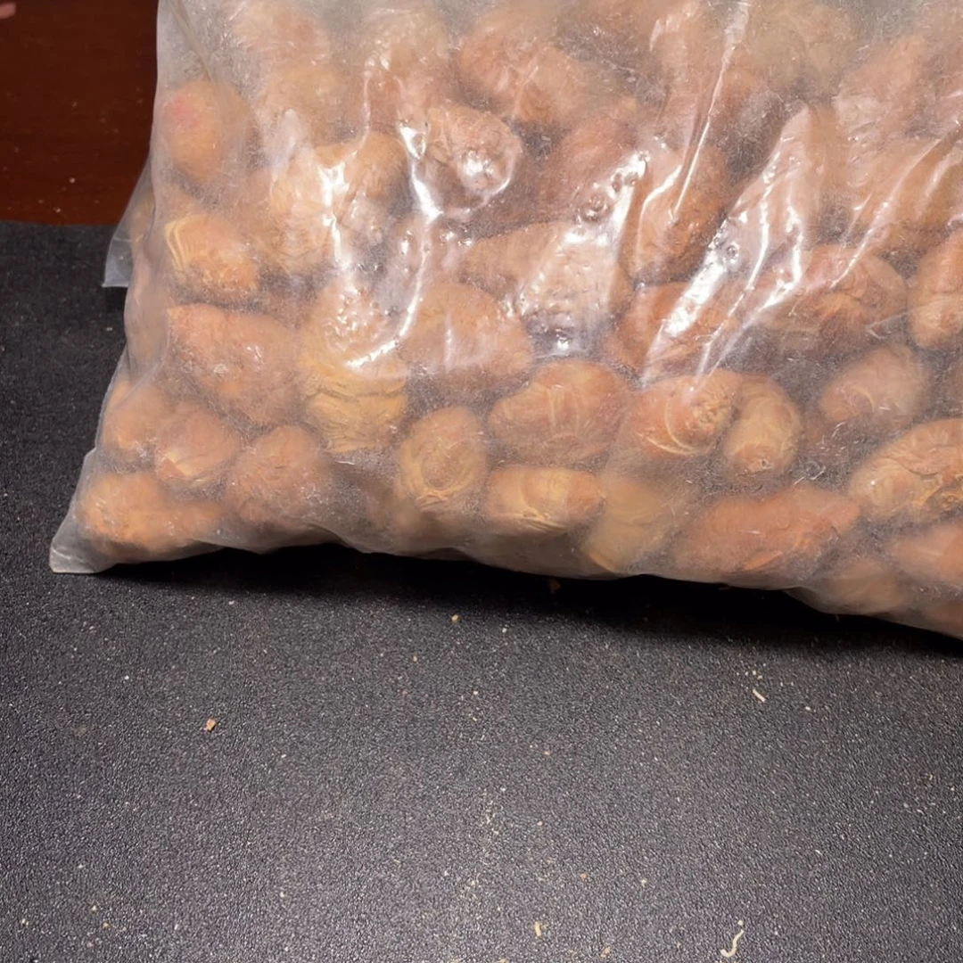 ****️手串/手链橄榄核不退不换