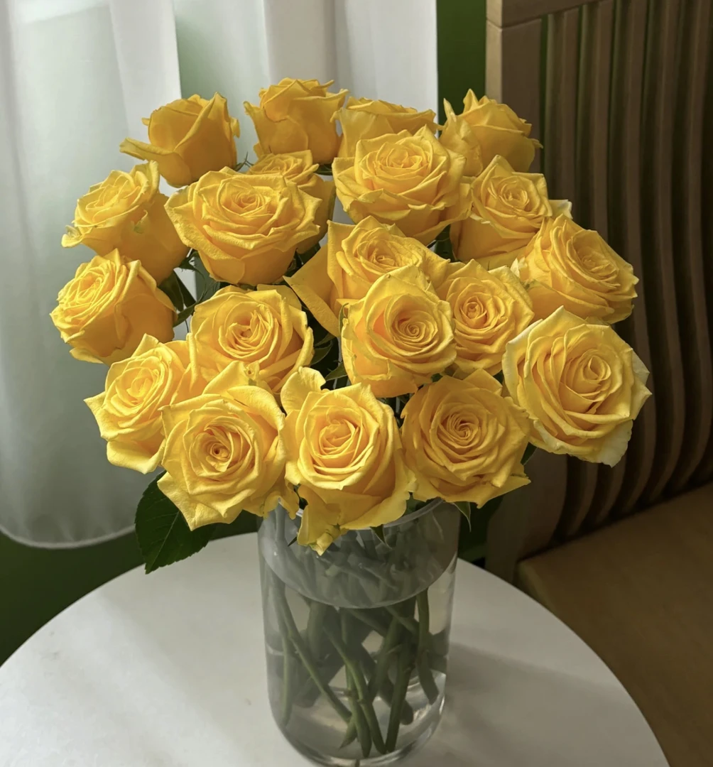 （曼）  金枝玉叶15支+5支防损 鲜花任意满2单包邮