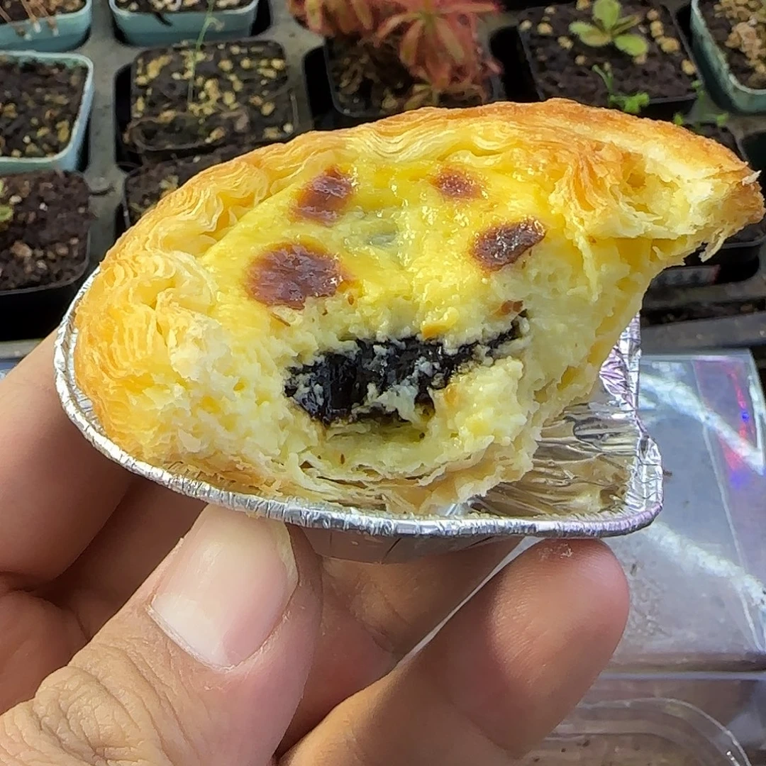 完全开放咬了两嘴得蛋挞