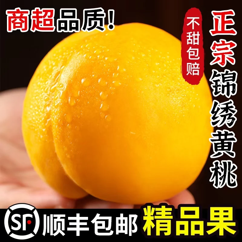 正宗蒙阴锦绣黄桃新鲜水果当季现摘桃子露天蜜桃黄肉毛桃大果整箱