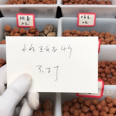 桃核吊坠l****8龙纹桃核的搭配