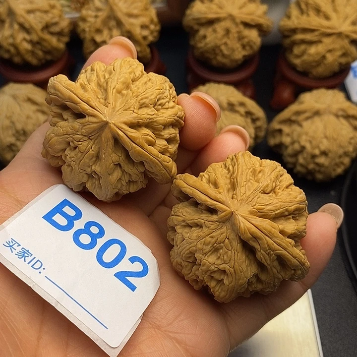 把件文玩核桃粗筋4.4