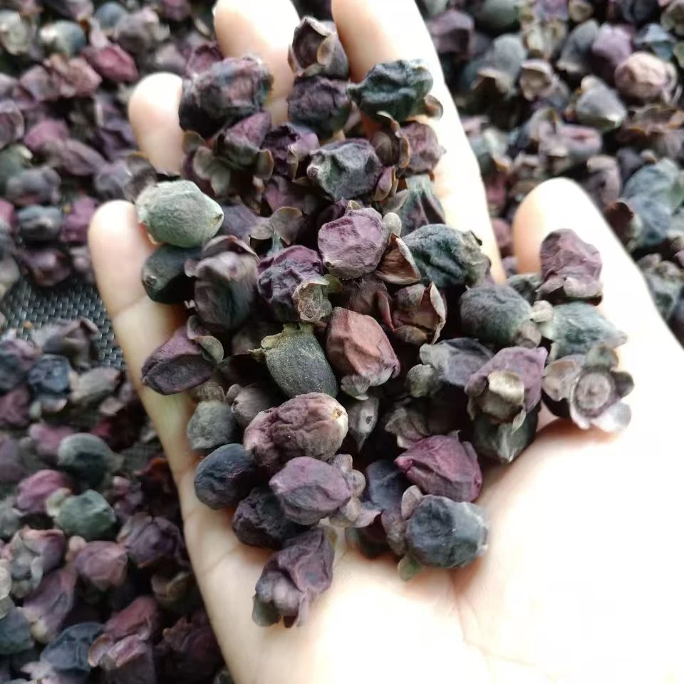 广西山捻子桃金娘稔干果三蒸三晒哆尼泡酒料岗捻子金樱子黄芪