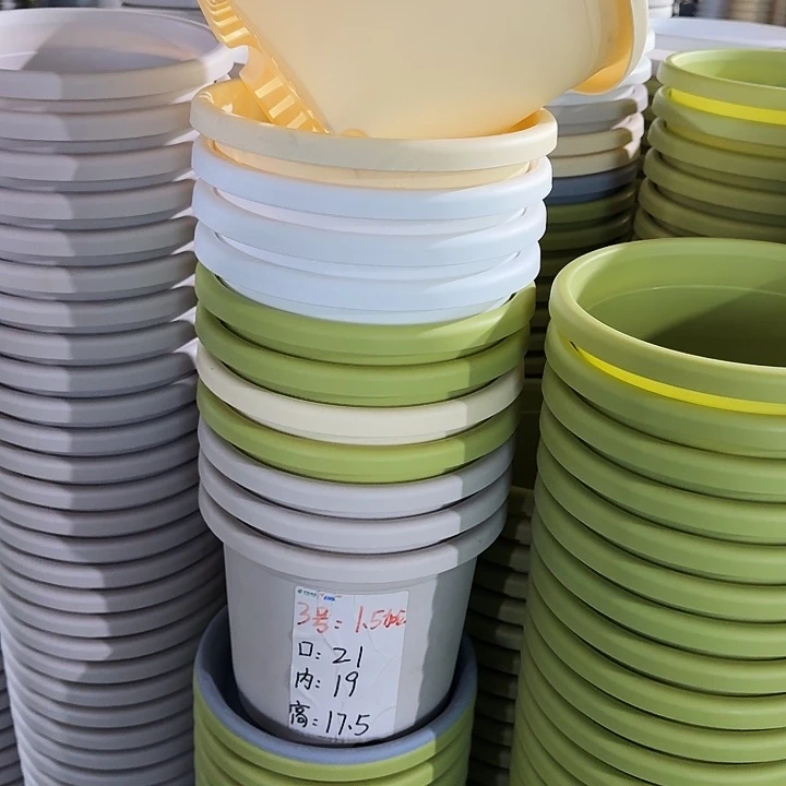 四季3#口径21果绿10个无托