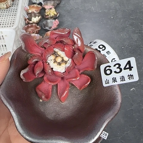 瓷片柴烧柴烧柴烧634