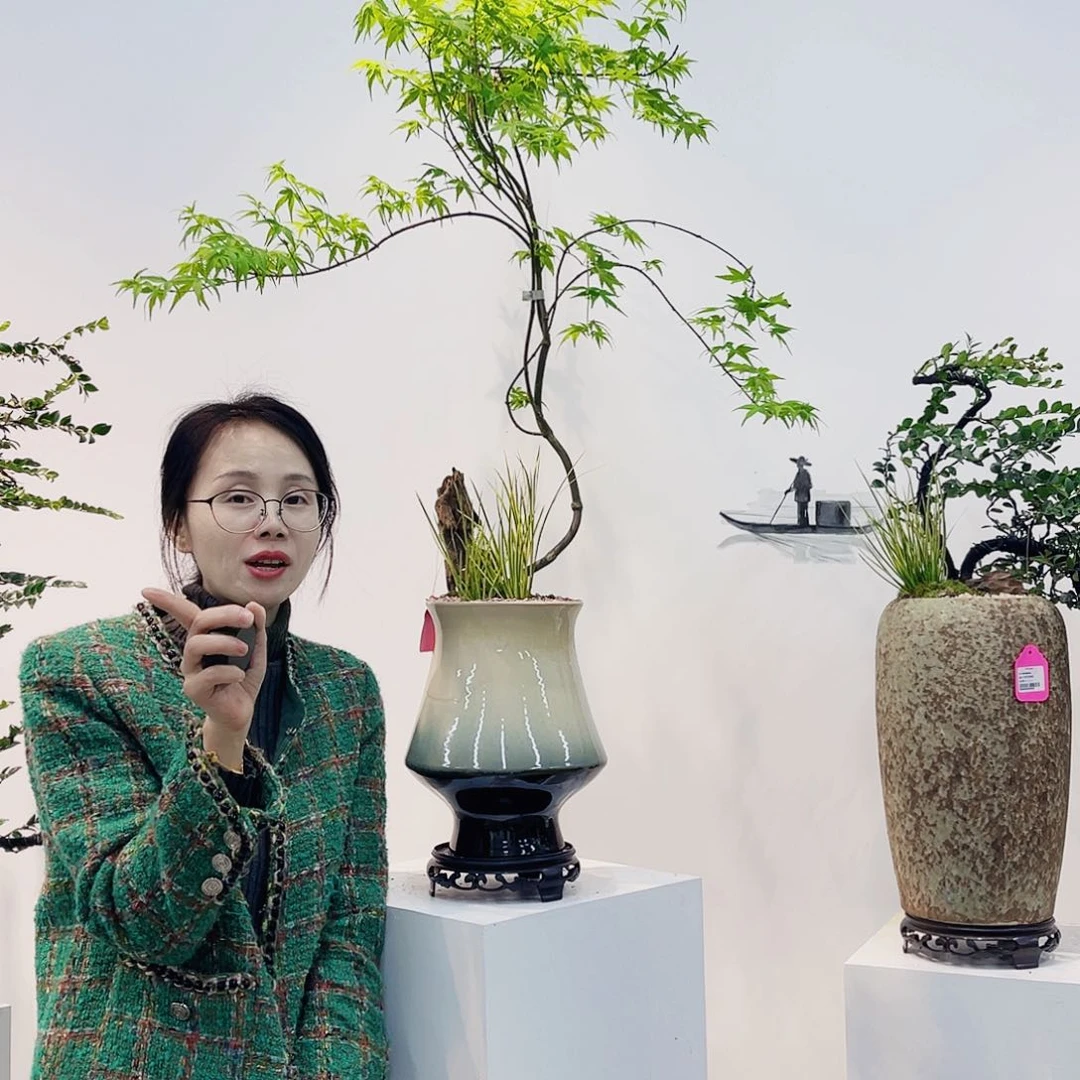 高端绿植一物一拍