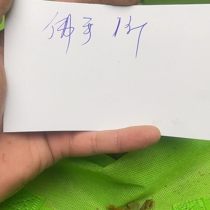 爱***伴桃核吊坠龙纹桃核的搭配