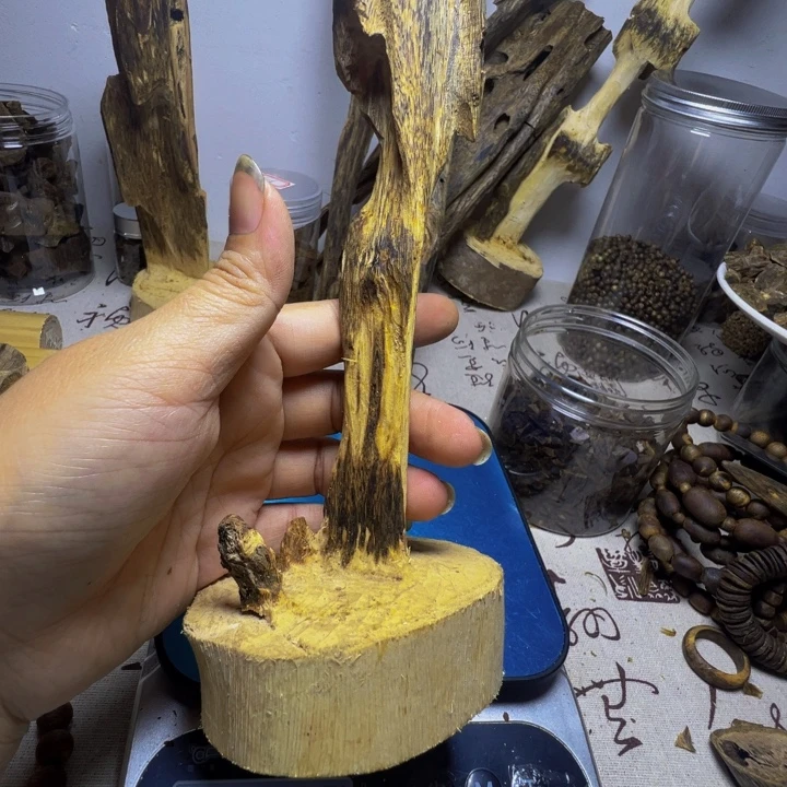 棋楠沉香陆河虫漏摆件