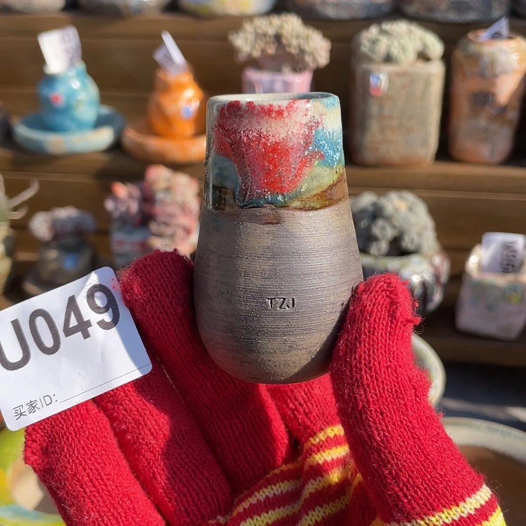 坛子姐花盆 拇指盆 内口2.5左右 百搭