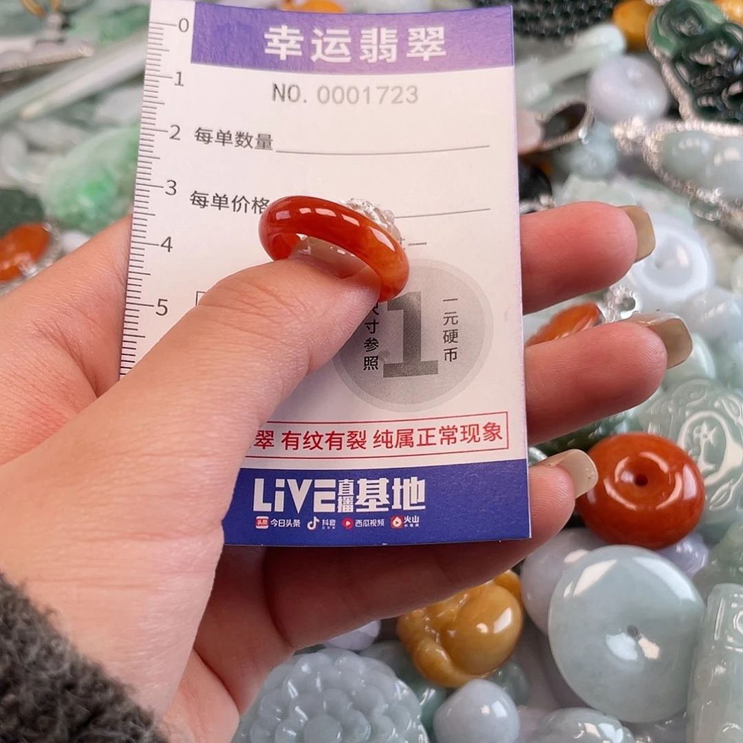 翡翠未镶嵌颈饰1723