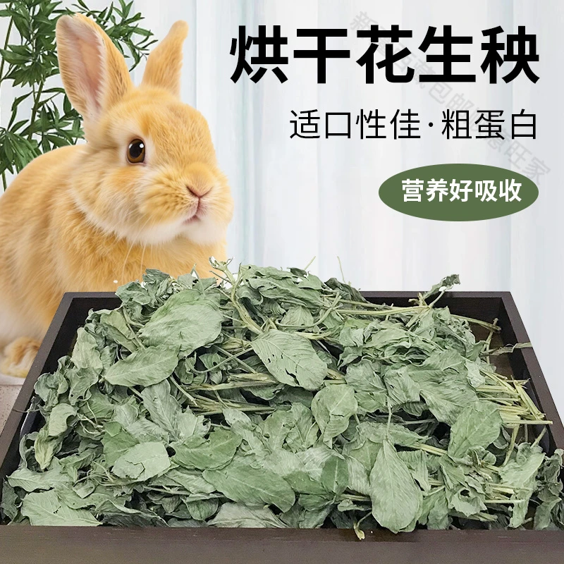 新疆西藏包邮25年新草花生秧烘干花生草花生秧补充营养兔子荷兰豚