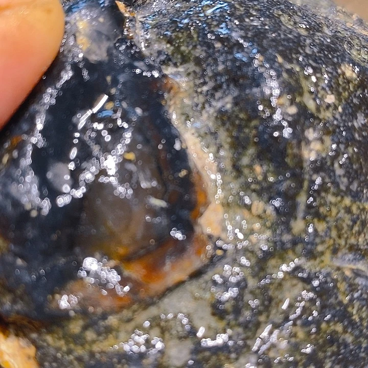 未镶嵌定制玛瑙哦叽里呱啦了咯傅*来