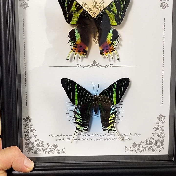 大理石磁石日月同辉组合款