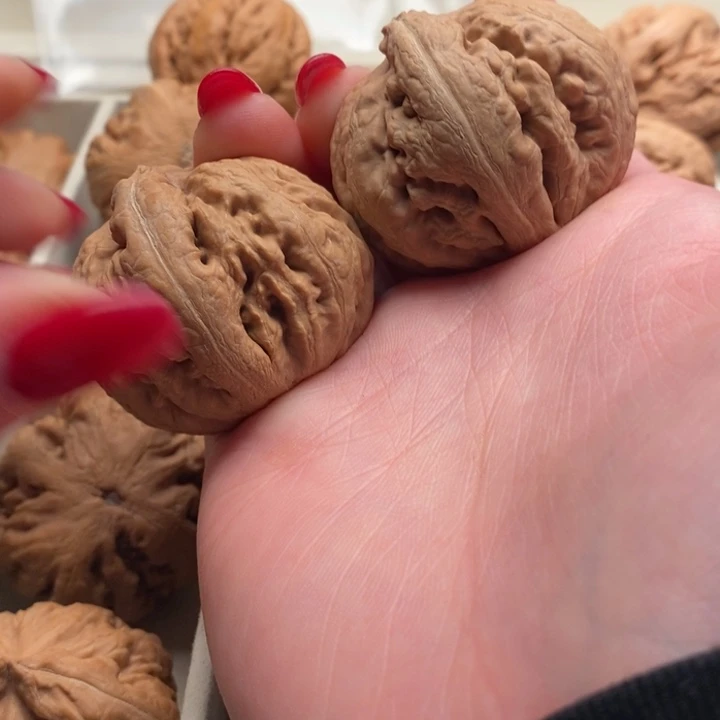 &***浪文玩核桃把件霸王龙