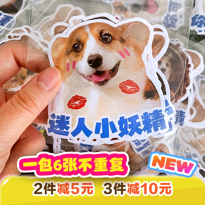 【阿佩周边】可爱贴纸