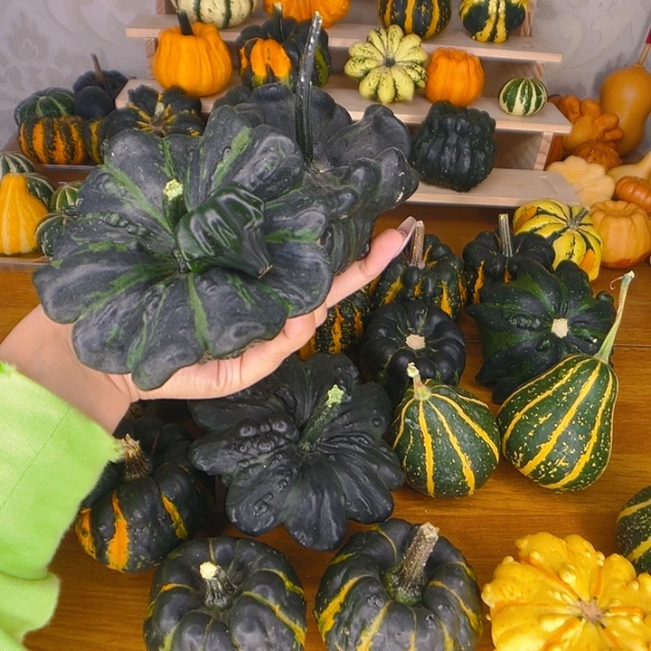 葫芦葫芦中国大陆?