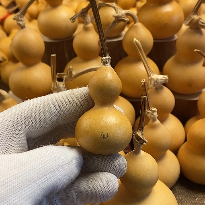 文玩葫芦 完美主义者 慎拍44