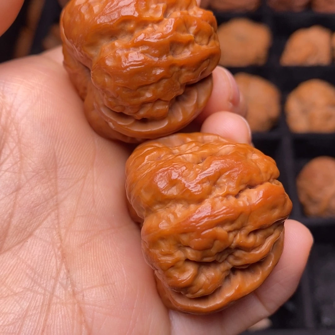 文玩核桃把件秦岭野生核桃