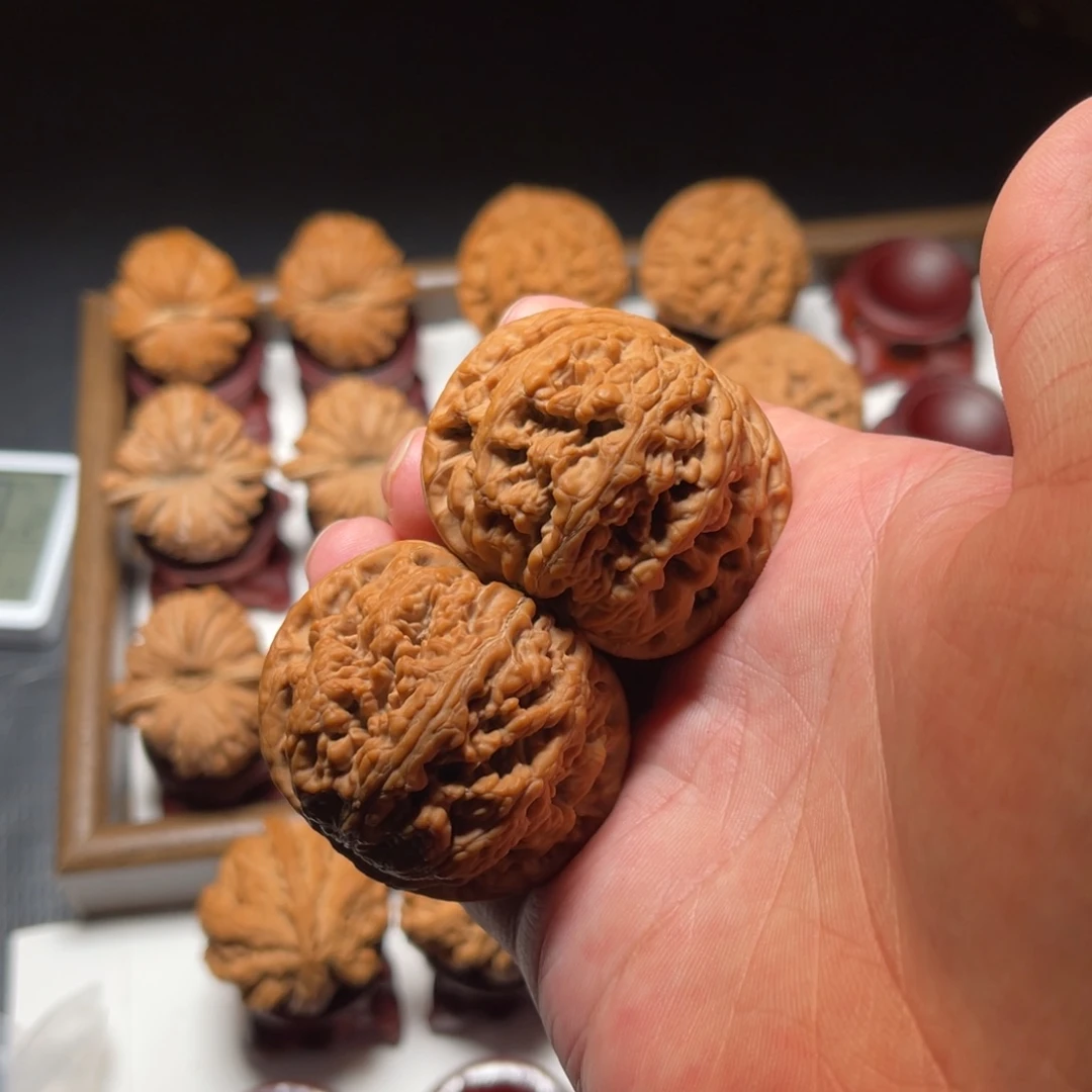 文玩核桃把件球形大粗筋核桃尺寸47