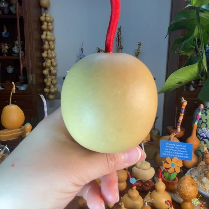 苹果型葫芦胖乎乎