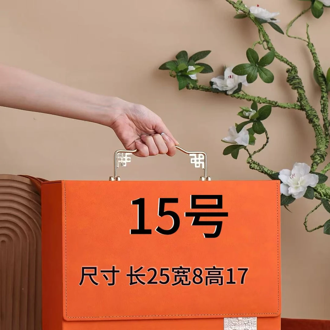 15号 简约潮流休闲轻奢大号邮差 A6552-2