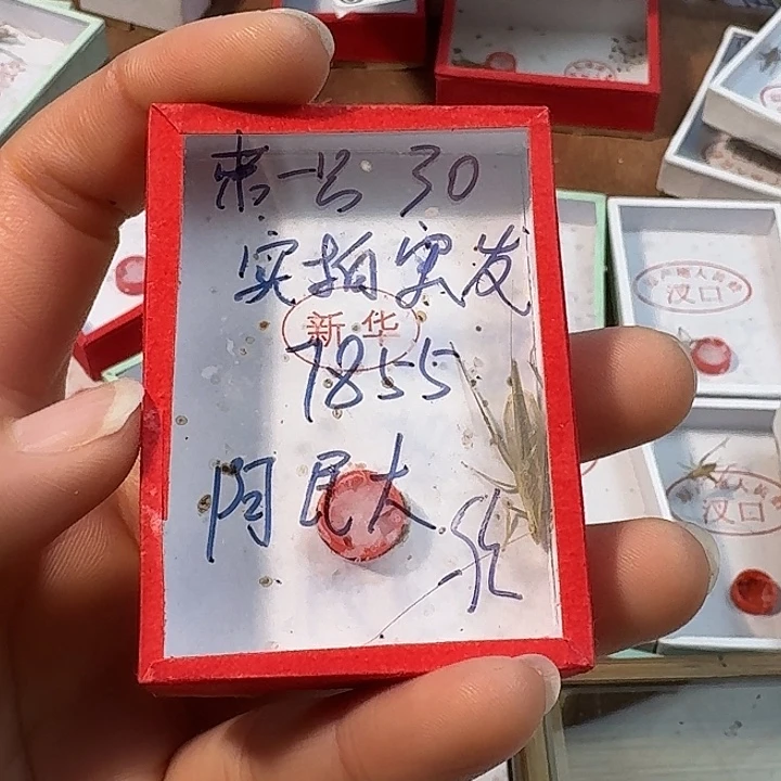 阿***大蟋蟀蝈蝈22222222