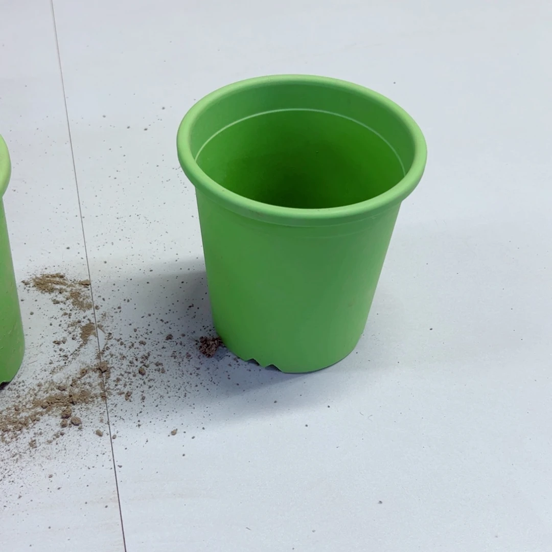 下46小绿盆2个口径15高15无托盘20包邮