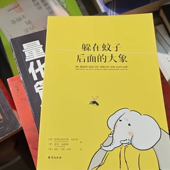 躲在蚊子后面的大象啊，没有出。