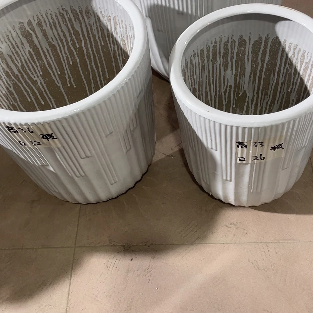 低白音符套三搭配托盘微瑕