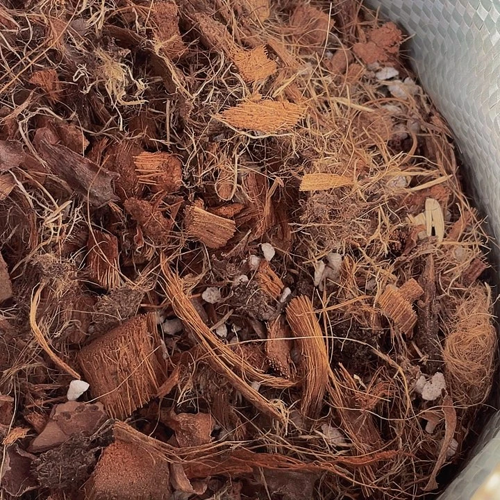 架接法师专用养护土01号