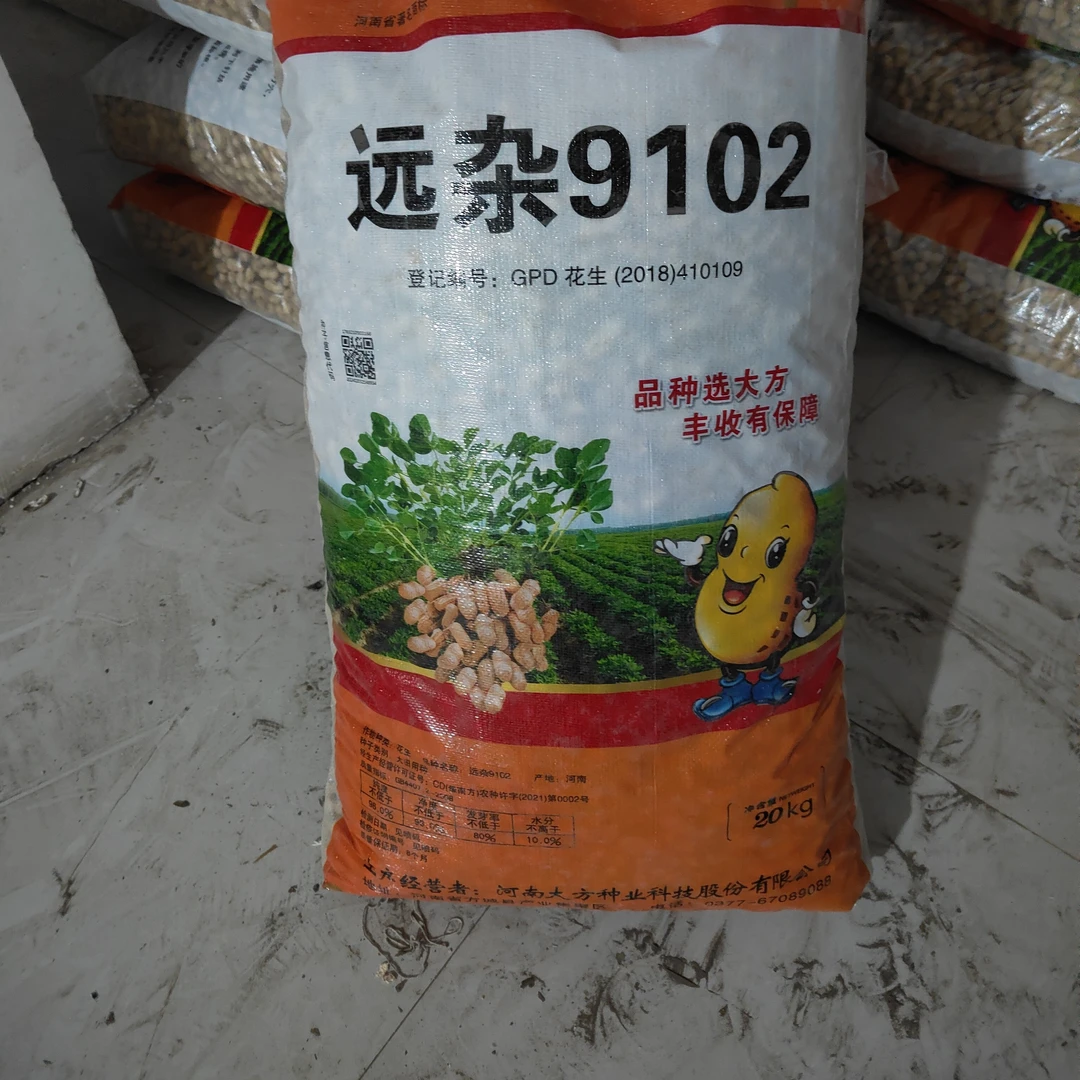 抗死苗抗重茬远杂9102花生种子