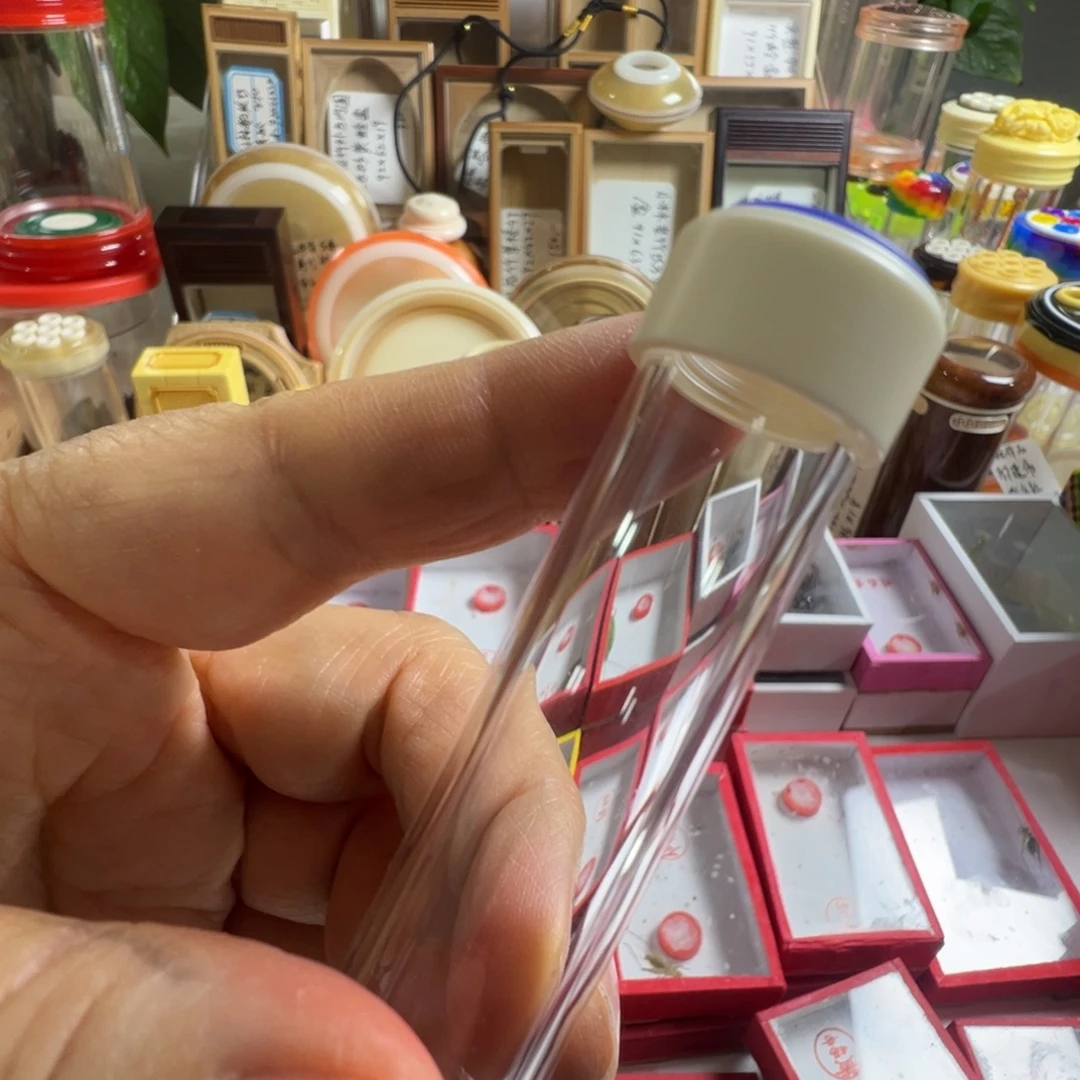 蟋蟀两只黄龄筒漂亮