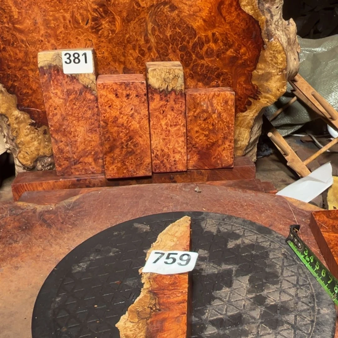 大果紫檀（缅甸花梨）