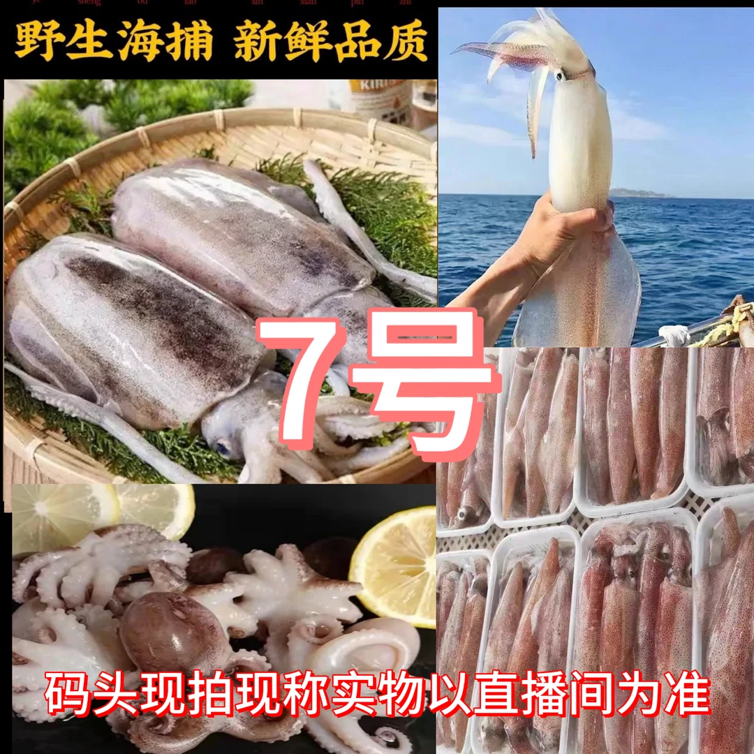 【斌哥】65北海本港野生海捕大墨鱼八爪鱿鱼直播拍速冻发货