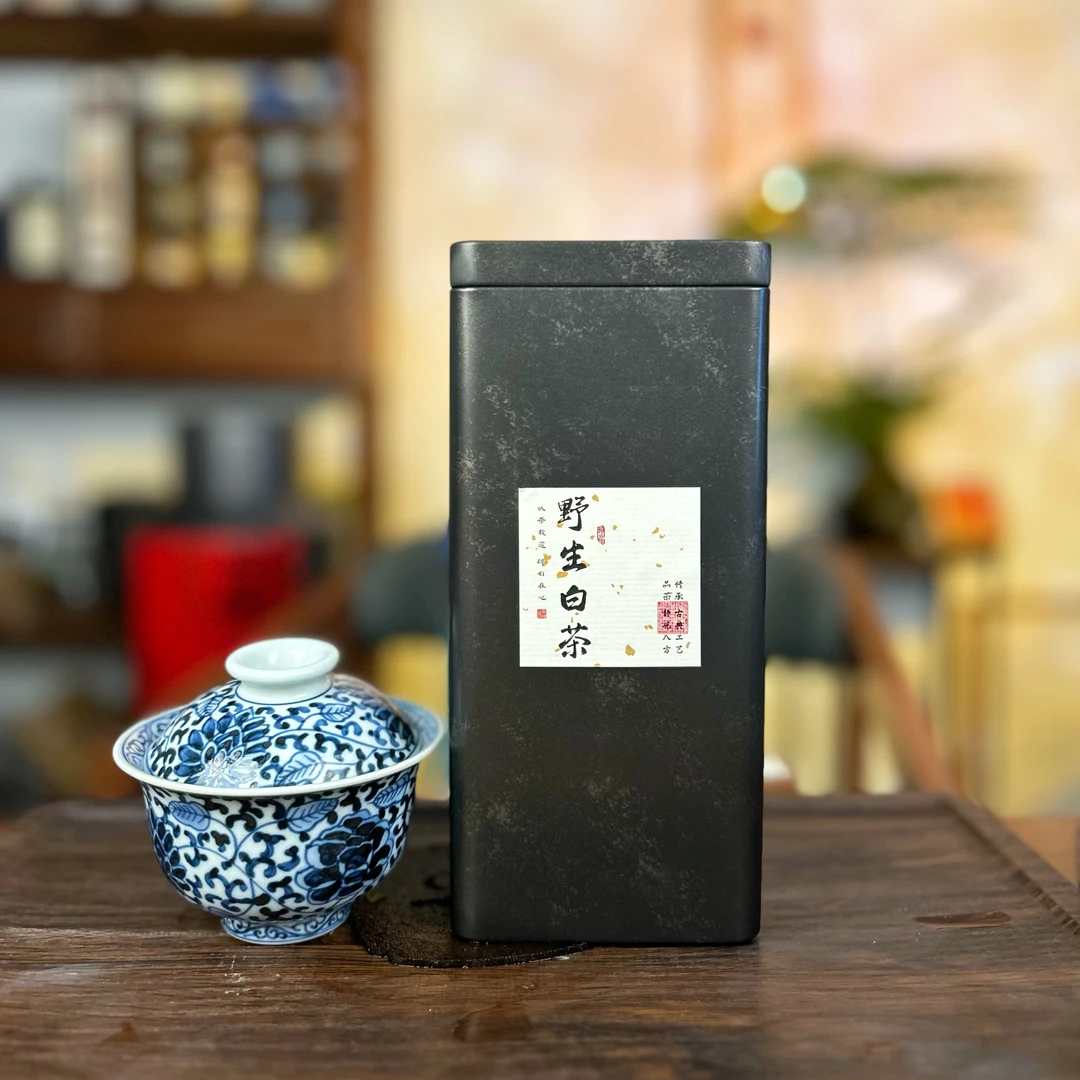 野生古树白茶2025年头春头采