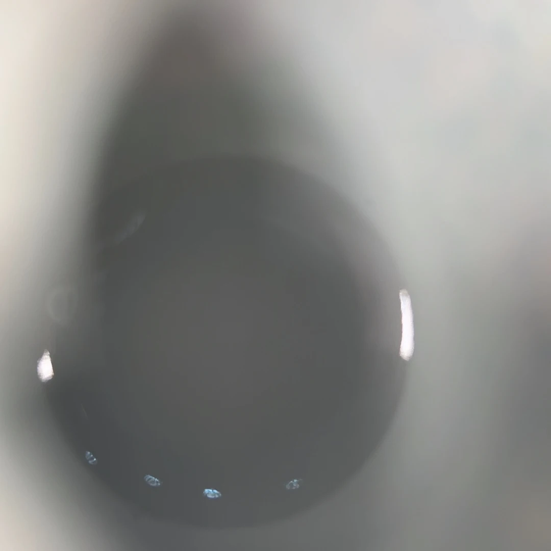 s****蚁纯手工手绘 高端茶器