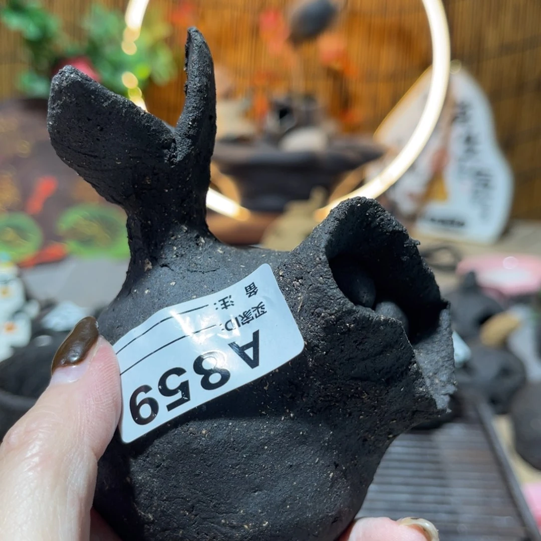 木村信弘柴烧保平