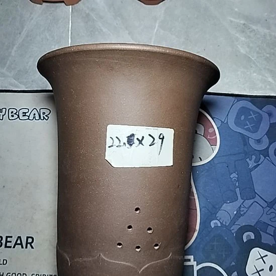 莲花金钟一个花盆