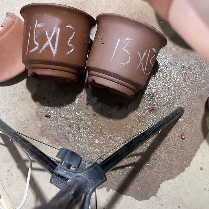 紫砂花盆破损包赔