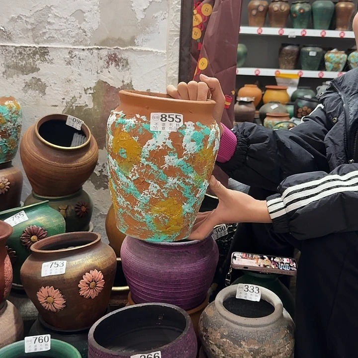 彩绘855高度24口径16