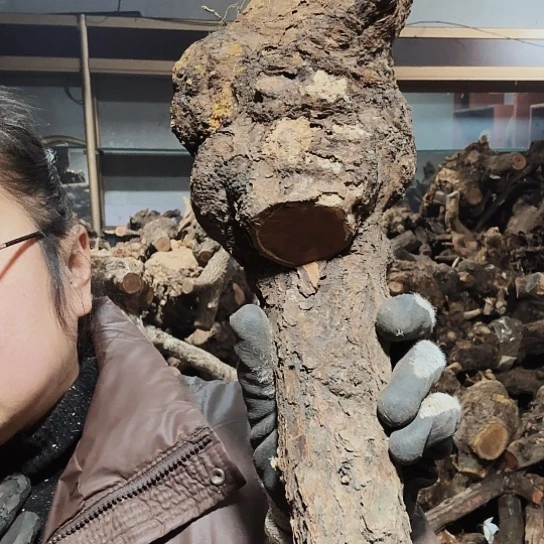 香榧木他*石火琉璃的毛料摆件