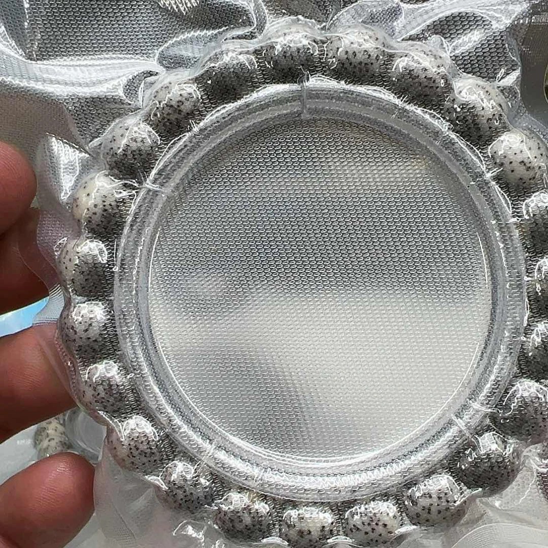 星月菩提手串118传说月留白星月菩提单圈1.0