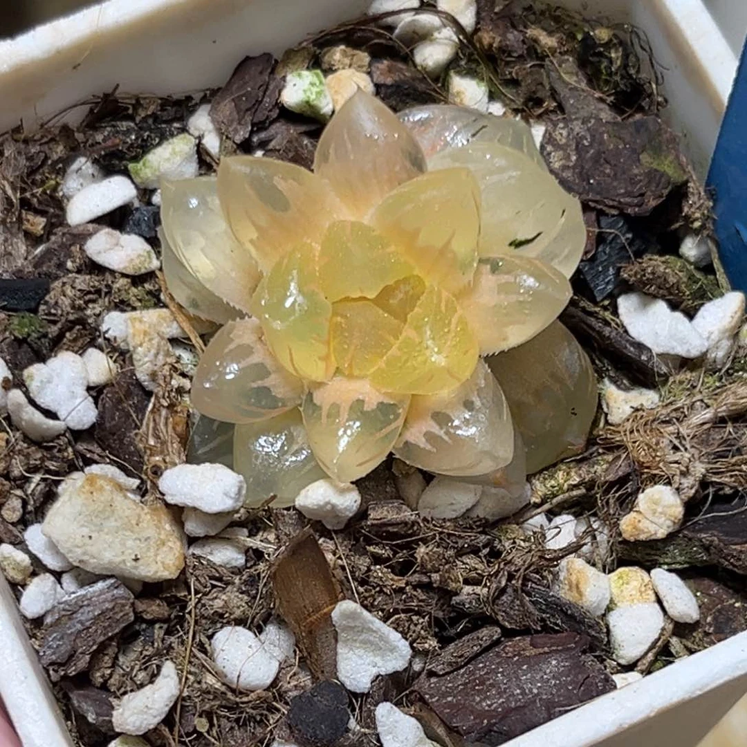 恭喜发财大吉大利591