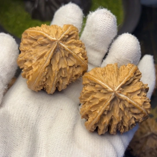 匈***火文玩核桃吊坠秦岭核桃5