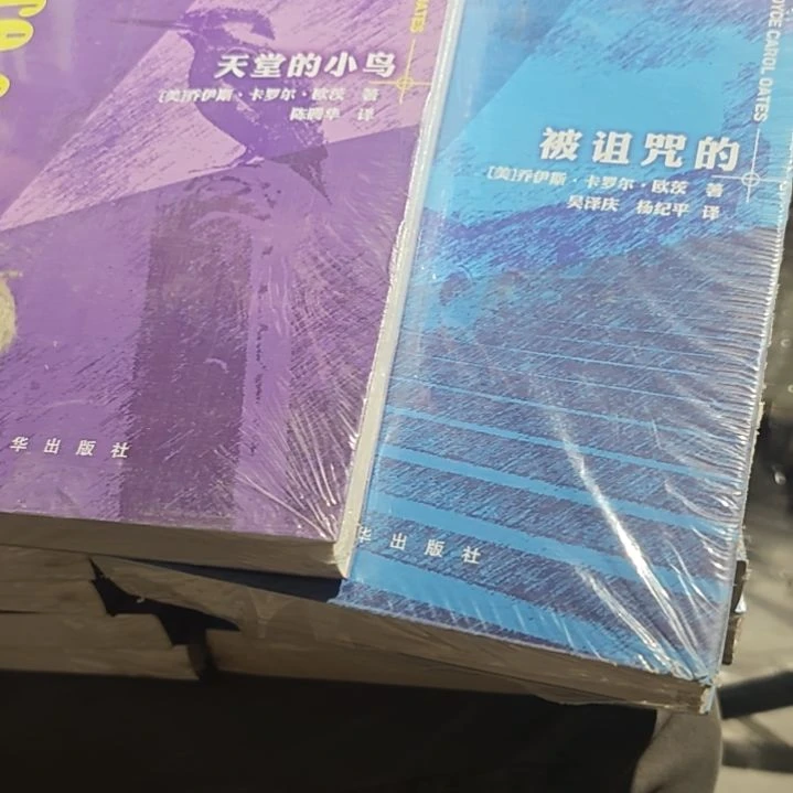 天堂的小鸟➕被诅咒的两本一套