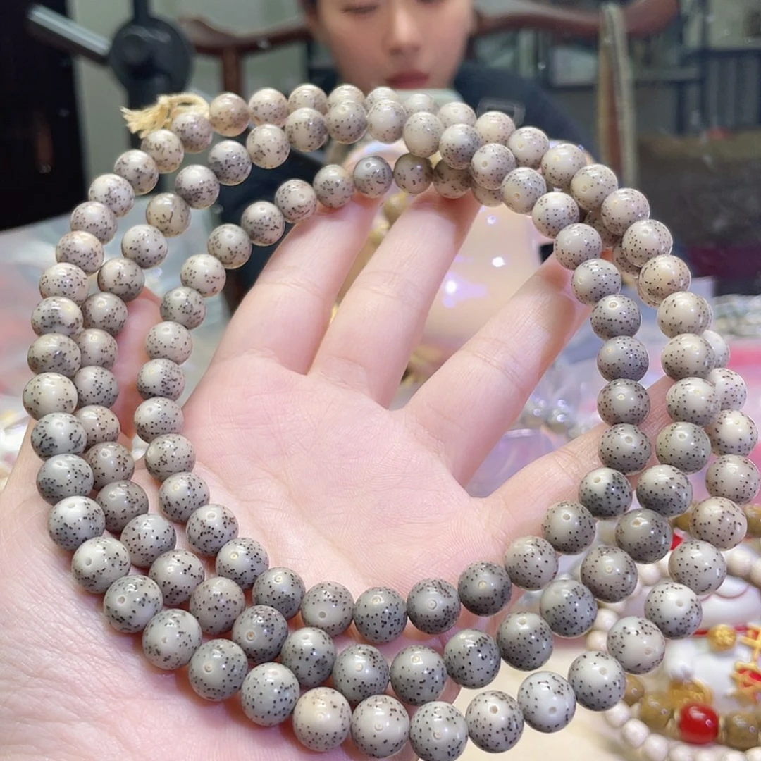 吊坠星月菩提七****、星月菩提海南同枝果9x9