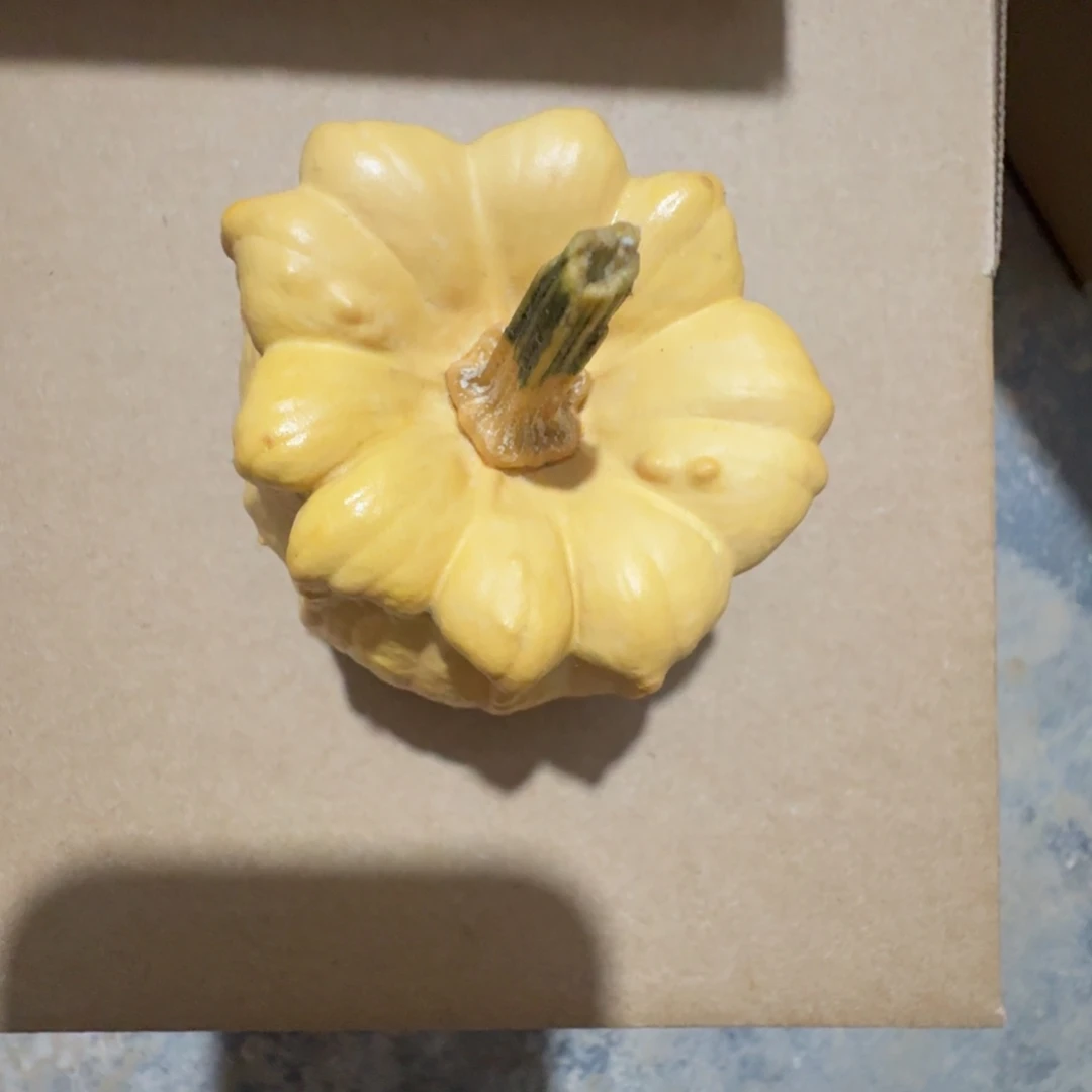 小**?特价葫芦不退不换