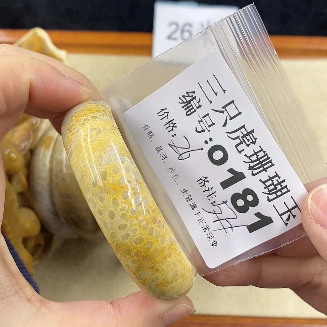 硅化珊瑚（珊瑚玉）1未镶嵌耀**/