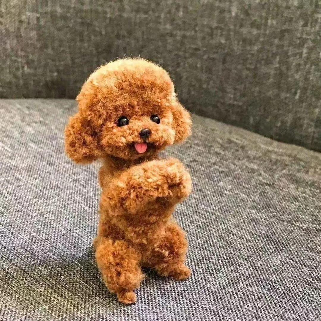 宠物狗狗活体可爱博美比熊柴犬金毛拉布拉多萨姆耶泰迪阿拉斯加